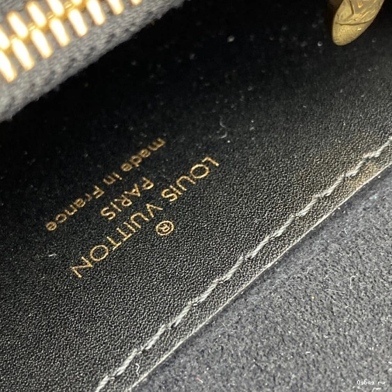 VUITTON BB BUMBAG DAUPHINE LOUIS 0801